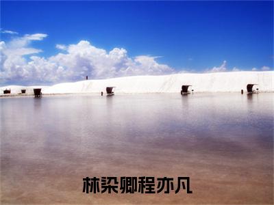 （程亦凡林染卿）林染卿程亦凡小说全文免费_（程亦凡林染卿）最新章节列表笔趣阁