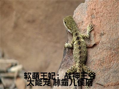软萌王妃：战神王爷太能宠（ 林霜儿侯府）全文免费阅读最新章节大结局_软萌王妃：战神王爷太能宠最新章节列表_笔趣阁