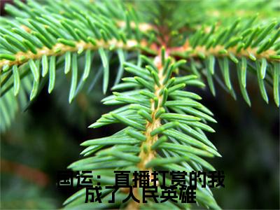 国运：直播打赏的我成了人民英雄小说全文免费阅读( 陈太虚苏卿颜)全文免费阅读无弹窗大结局_  陈太虚苏卿颜最新章节列表_笔趣阁（国运：直播打赏的我成了人民英雄小说）