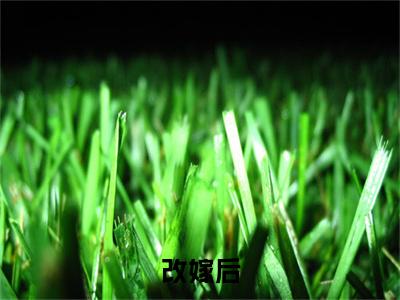 改嫁后，我成了渣男他娘（ 孟瑾瑶永昌）全文免费阅读无弹窗大结局_(改嫁后，我成了渣男他娘阅读全文大结局) 孟瑾瑶永昌最新章节列表（ 孟瑾瑶永昌）