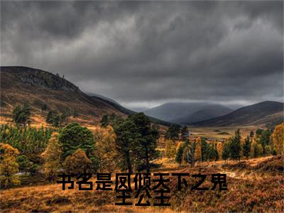  乾宗长公主书名是《凤倾天下之鬼王公主》在线赏析_凤倾天下之鬼王公主热门推荐阅读笔趣阁