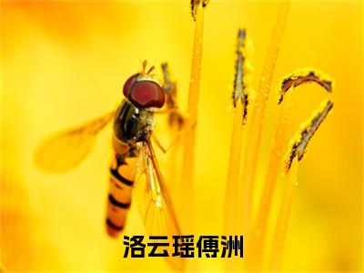 洛云瑶傅洲小说傅洲洛云瑶大结局-精彩美文傅洲洛云瑶免费阅读