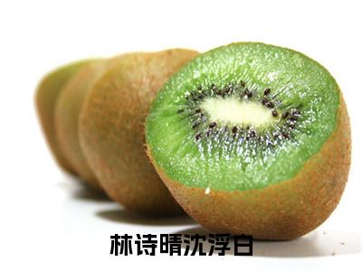 新上热文林诗晴沈浮白在线阅读-沈浮白林诗晴叫沈浮白林诗晴的小说（林诗晴沈浮白）全文完整版免费阅读