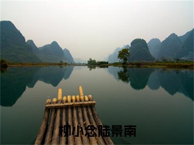 柳小念陆景南（陆景南柳小念）全文免费阅读无弹窗大结局_（柳小念陆景南无弹窗）陆景南柳小念最新章节列表阅读_笔趣阁