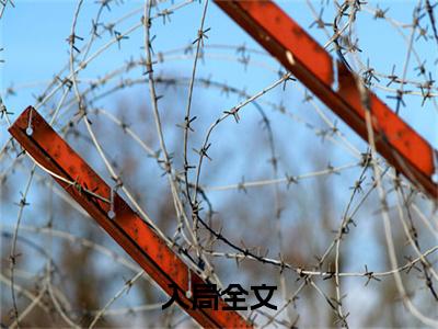  顾南意刘江河小说在线阅读全文免费阅读无弹窗大结局_入局小说免费最新章节列表_笔趣阁
