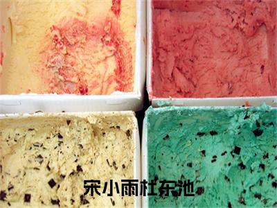 宋小雨杜东池免费小说-宋小雨杜东池完结版在线阅读