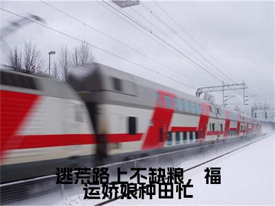 宋如棠最新章节（逃荒路上不缺粮，福运娇娘种田忙）全文免费阅读无弹窗大结局_逃荒路上不缺粮，福运娇娘种田忙小说全文免费阅读正版无弹窗_笔趣阁