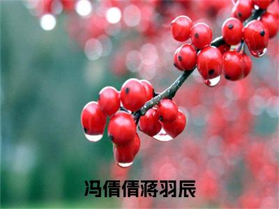冯倩倩蒋羽辰小说(蒋羽辰冯倩倩)全文免费阅读无弹窗大结局_蒋羽辰冯倩倩冯倩倩蒋羽辰小说最新章节列表_笔趣阁(蒋羽辰冯倩倩)
