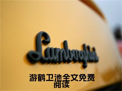 主人公叫（ 游鹤卫池）的小说（不舍追逐）全文免费阅读最新章节列表_笔趣阁