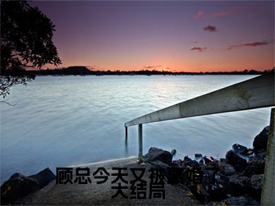  苏可念顾寒州顾总今天又被离婚了在线小说-顾总今天又被离婚了全文无删减版阅读
