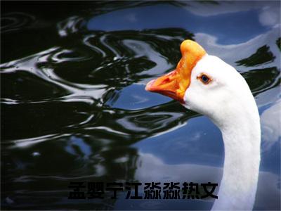小说（摆脱恋爱脑后，真千金她成了玄学大佬！） 孟婴宁江淼淼精选片段阅读-小说 孟婴宁江淼淼免费版最新更新阅读