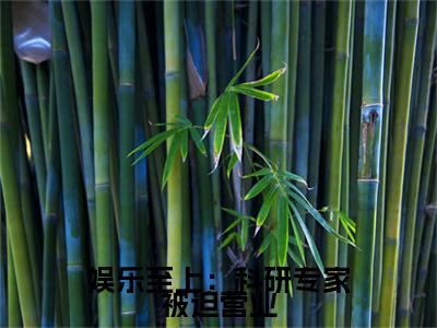 娱乐至上：科研专家被迫营业(安怡安楚楚小说)最新在线阅读_安怡安楚楚小说免费阅读