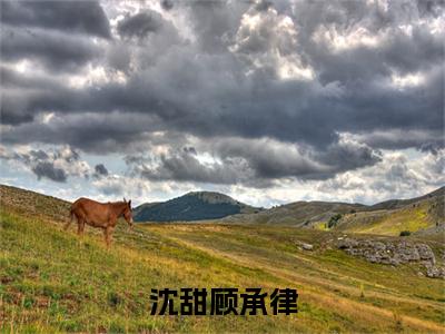 沈甜顾承律顾承律沈甜小说（顾承律沈甜）全文在线阅读无弹窗大结局沈甜顾承律