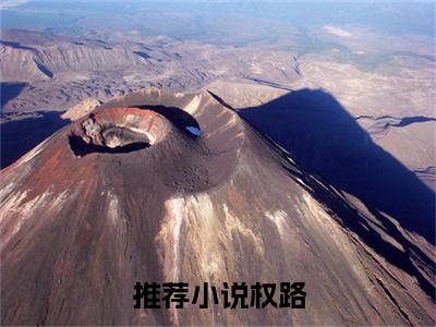 权路免费阅读无弹窗，小说 彭思远林雨彤大结局全文免费阅读