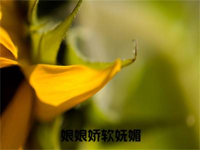 娘娘娇软妩媚，多情帝王他动心了( 赫连瑾凌煜)免费全文阅读小说_娘娘娇软妩媚，多情帝王他动心了免费在线阅读（ 赫连瑾凌煜）小说最新章节列表-笔趣阁（ 赫连瑾凌煜）