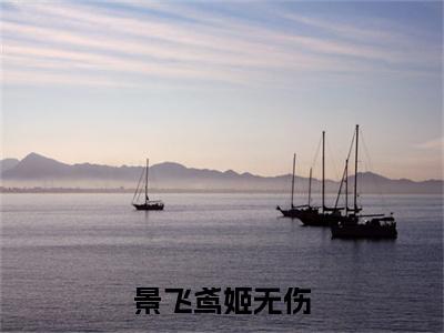 景飞鸢姬无伤免费小说(姬无伤景飞鸢)全文免费阅读无弹窗大结局_姬无伤景飞鸢最新章节列表_笔趣阁