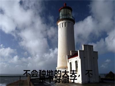 不会种地的大夫，不是个好厨子全文免费阅读无弹窗_（许贵）全文在线阅读大结局