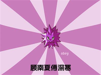 傅深寒顾南夏全文免费大结局-顾南夏傅深寒结局在线阅读