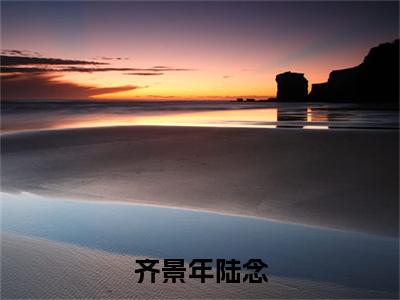 陆念齐景年小说_齐景年陆念全文阅读_小说齐景年陆念免费阅读最新章节列表(陆念齐景年)笔趣阁