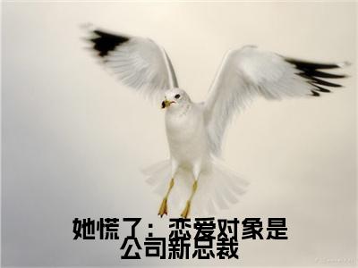 周敛深舒菀(她慌了：恋爱对象是公司新总裁小说)全文免费阅读无弹窗大结局_(她慌了：恋爱对象是公司新总裁小说免费阅读全文大结局)最新章节列表_笔趣阁（她慌了：恋爱对象是公司新总裁小说）
