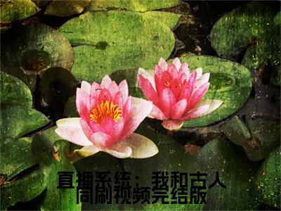 直播系统：我和古人同刷视频免费小说（ 陈晚刘彻）全文免费阅读无弹窗大结局_ 陈晚刘彻最新章节列表_笔趣阁
