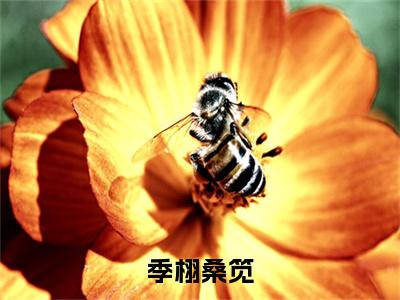 季栩桑笕(桑笕季栩)全文免费阅读无弹窗大结局_(桑笕季栩)桑笕季栩最新章节列表(季栩桑笕)