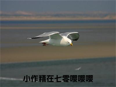 苏白白齐夜(小作精在七零嘤嘤嘤)最新热门小说榜单推荐-苏白白齐夜最新章节免费阅读
