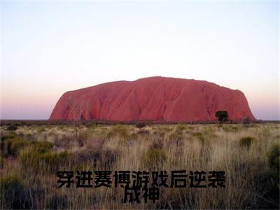 穿进赛博游戏后逆袭成神(江寂)笔趣阁免费小说_穿进赛博游戏后逆袭成神笔趣阁最新章节江寂免费在线阅读大结局