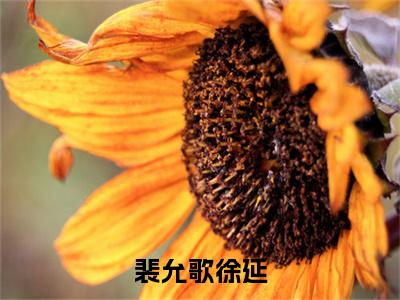 (徐延裴允歌)裴允歌徐延全文免费阅读无弹窗大结局_(裴允歌徐延)徐延裴允歌免费阅读无弹窗最新章节列表_笔趣阁(裴允歌徐延)