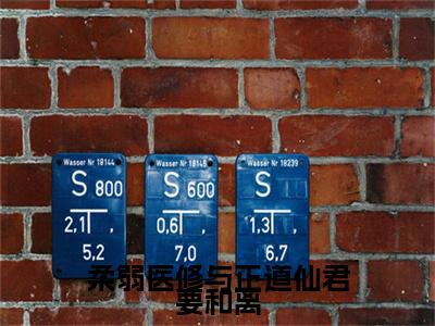 柔弱医修与正道仙君要和离在线阅读（林怜儿南宫曜）全文免费阅读无弹窗大结局_林怜儿南宫曜免费最新章节列表_笔趣阁