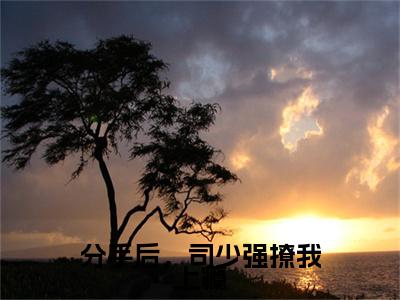 分手后，司少强撩我上瘾全文免费阅读无弹窗大结局_ （司景珩沈明月完结）分手后，司少强撩我上瘾小说最新章节列表