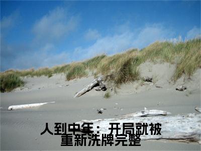 人到中年：开局就被重新洗牌小说（ 林飞赵阳）热推新书_人到中年：开局就被重新洗牌最新章节在线阅读_笔趣阁