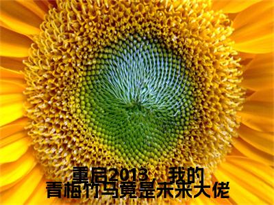 苏宇全文免费阅读无弹窗大结局_(重启2013,我的青梅竹马竟是未来大佬阅读无弹窗)重启2013,我的青梅竹马竟是未来大佬最新章节列表_笔趣阁