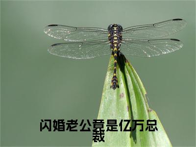 闪婚老公竟是亿万总裁（陈安安季景盛）全文免费阅读无弹窗大结局_闪婚老公竟是亿万总裁(陈安安季景盛)最新章节列表_笔趣阁（陈安安季景盛）
