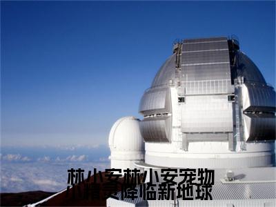 宠物小精灵降临新地球( 林小安林小安)全文免费阅读无弹窗大结局_宠物小精灵降临新地球免费阅读无弹窗最新章节列表_笔趣阁( 林小安林小安)