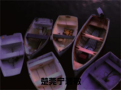 裴敬楚莞宁（楚莞宁裴敬）全文免费阅读-小说楚莞宁裴敬最新章节阅读笔趣阁