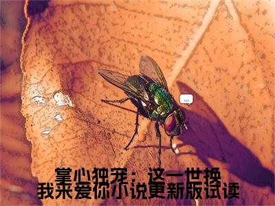  殷寒南笙小说（掌心独宠：这一世换我来爱你小说更新版试读）全文免费阅读无弹窗大结局_掌心独宠：这一世换我来爱你小说更新版试读最新章节列表_笔趣阁（ 殷寒南笙）