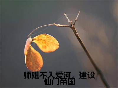 师姐不入爱河，建设仙门帝国小说（江浔仙顾宴灼）精彩章节-江浔仙顾宴灼全文免费在线阅读