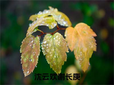 谢长庚沈云欢(沈云欢谢长庚)全文免费阅读无弹窗大结局_ 谢长庚沈云欢免费阅读无弹窗最新章节列表_笔趣阁