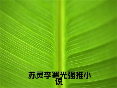 攒了三世功德后，我有了咸鱼系统免费小说_ 苏灵李寒光免费最新章节列表_笔趣阁