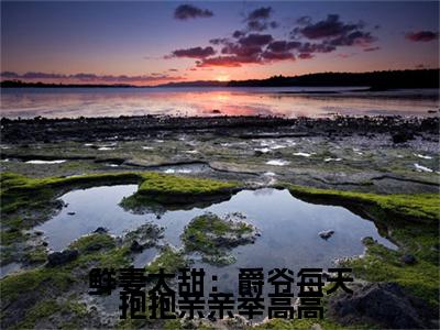 叶南爵桑甜(鲜妻太甜：爵爷每天抱抱亲亲举高高)全文免费阅读无弹窗大结局_ 叶南爵桑甜免费阅读最新章节列表_笔趣阁