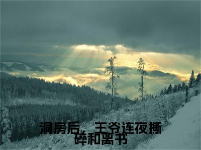 林初初顾靖煜(洞房后,王爷连夜撕碎和离书)全文在线阅读无弹窗大结局_林初初顾靖煜精选免费小说大结局阅读_洞房后,王爷连夜撕碎和离书