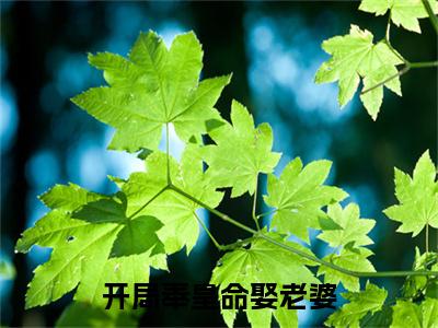 开局奉皇命娶老婆小说全文免费阅读无弹窗大结局_(开局奉皇命娶老婆)李澈最新章节列表笔趣阁(李澈)
