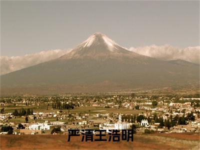 严清王浩明(王浩明严清)全文免费阅读无弹窗大结局_严清王浩明全文免费阅读最新章节列表_笔趣阁（王浩明严清）