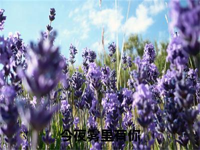 小说今夜雾里有你全文阅读无弹窗大结局_（ 颜雾傅北津）今夜雾里有你最新章节列表_笔趣阁