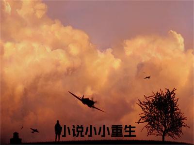  米小小严君蔚（小小重生）全文免费阅读无弹窗大结局_小小重生全文在线阅读
