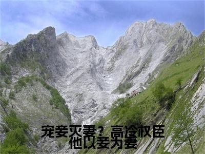 宠妾灭妻？高冷权臣他以妾为妻全文免费在线阅读_（宠妾灭妻？高冷权臣他以妾为妻免费阅读无弹窗） 姜月微陆璟全文免费完结版阅读（宠妾灭妻？高冷权臣他以妾为妻）