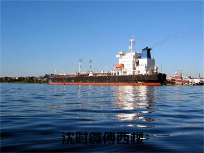 主角是傅西楼沈时微的小说叫什么名字 沈时微傅西楼小说免费阅读