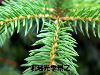 谢瑶光季景之（季景之谢瑶光）全文免费阅读无弹窗大结局_谢瑶光季景之最新章节列表-笔趣阁季景之谢瑶光