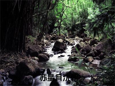全文军婚甜蜜蜜！绿茶千金她又幸福上了（ 苏星月沈朝全文免费阅读）小说最新章节_全文军婚甜蜜蜜！绿茶千金她又幸福上了全文免费阅读最新章节列表_笔趣阁